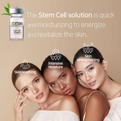 Stem Cell Solution Ampoules anti Aging Formula Best anti Aging Serum Plant Stem Cells Hyaluronic Acid Restore Replenish Skin Smooth Wrinkles All Skin Type 0.16Oz 10Vial