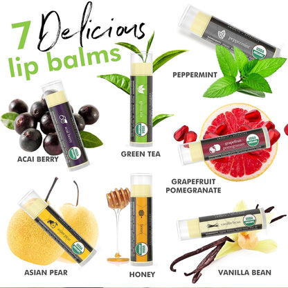 Natural Lip Balm Chapstick Pack - 12 Chap Stick Organic Lip Balm Set for Lip Healing and Repair - Natural Chapstick Hydrating Lip Balm for Dry Cracked Lips Flavored Lip Balm